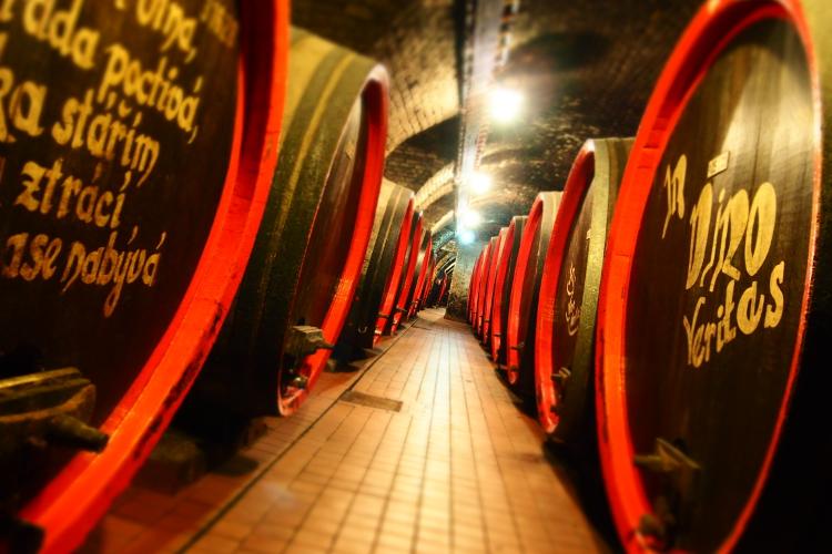 Built in 1430, Valtice Castle cellar is one of the oldest and largest wine cellars in the Czech Republic, where you can tour and enjoy a wine tasting. – © Archive of Valtice Castle