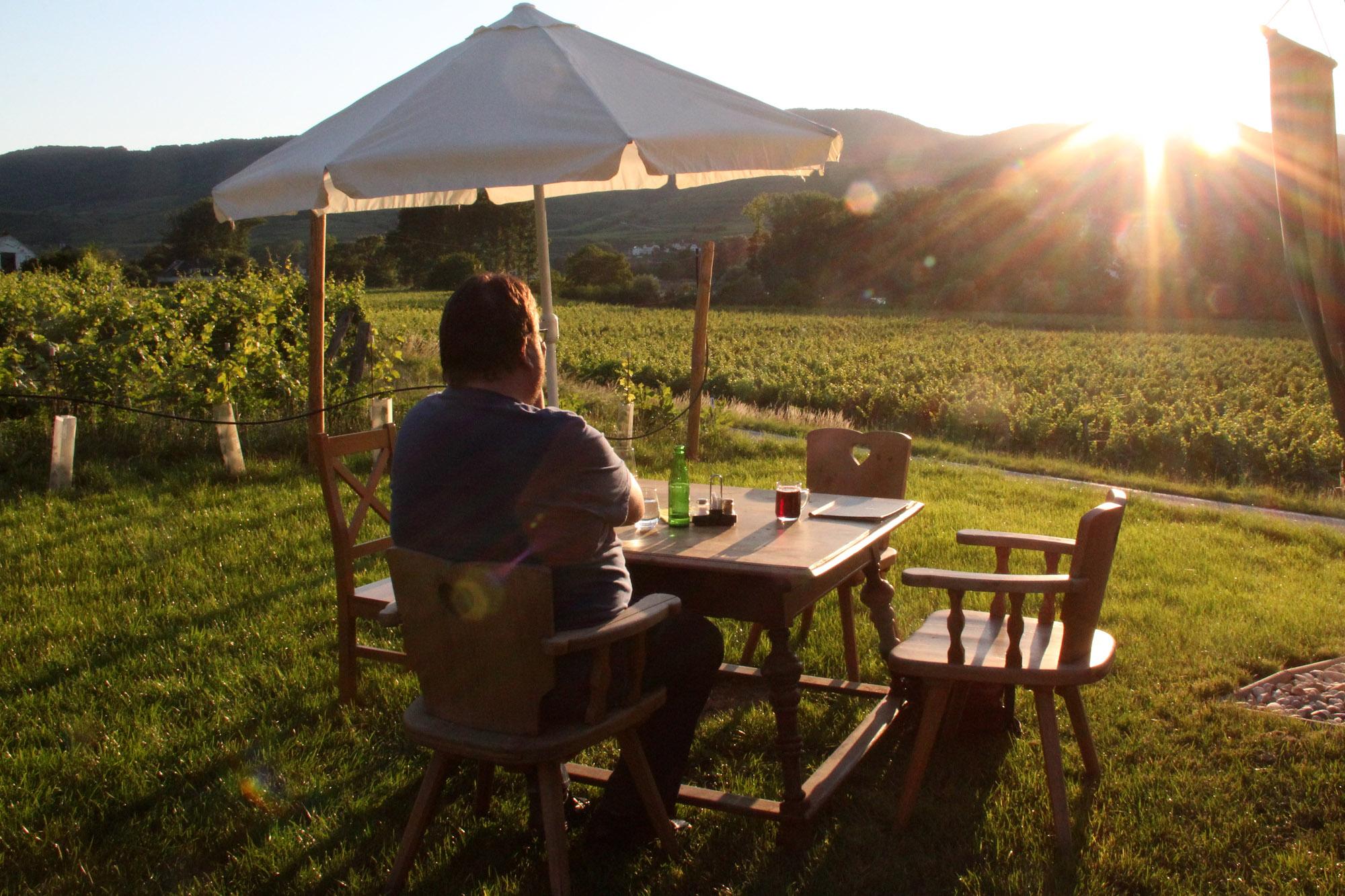 Some Heurigen offer you seating in the garden where you may feel like you're in the middle of the vineyards while enjoying the local wines. – © Anna Lun