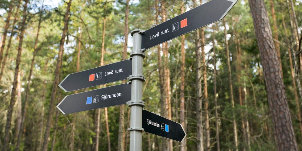 Choose among several different excellent trails that take you around the area on foot or by bike. The Lovö Circle Trail is 17 kilometres long. – © Melker Dahlstrand