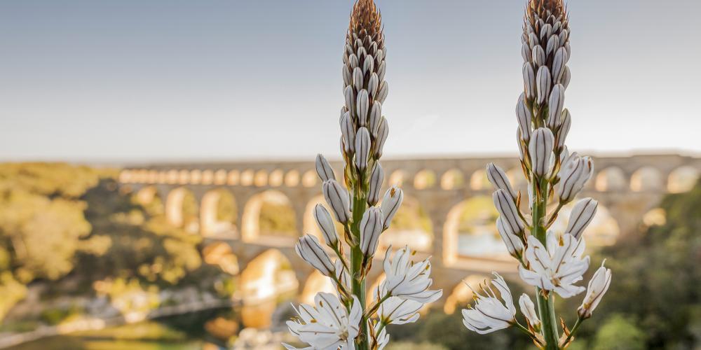 An exceptional landscape with beautiful points of view of the ancient monument. – © Aurelio Rodriguez An exceptional landscape with beautiful points of view of the ancient monument. – © Aurelio Rodriguez