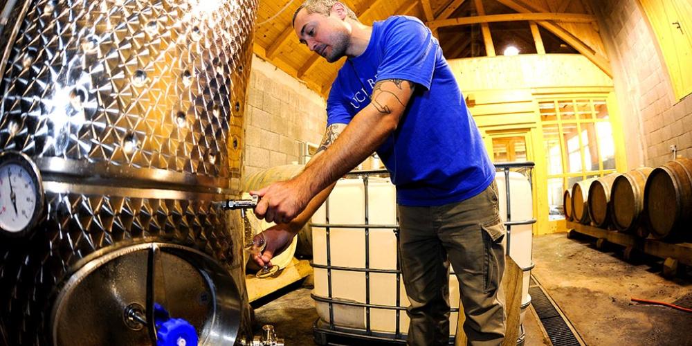The young winemakers’ wines and the drys ferment upstairs in the modern winery, on the site of the former cooperage. – © Zoltan Bakos The young winemakers’ wines and the drys ferment upstairs in the modern winery, on the site of the former cooperage. – © Zoltan Bakos