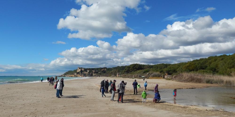 Just a few minutes from Tarragona, next to Tamarit and river Gaià’s mouth, there is a small natural piece of paradise called the Hort de la Sínia.
Escape the city and enjoy the natural environment and spa treatments at this lovely spot near Tarragona. – © Joan Vives Just a few minutes from Tarragona, next to Tamarit and river Gaià’s mouth, there is a small natural piece of paradise called the Hort de la Sínia.
Escape the city and enjoy the natural environment and spa treatments at this lovely spot near Tarragona. – © Joan Vives