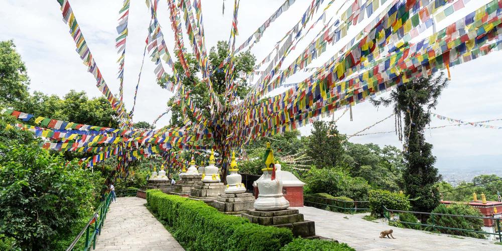 The complex at Swayambhunath stretches out across the hill to more shrines, a monastery, and rest areas. – © Michael Turtle The complex at Swayambhunath stretches out across the hill to more shrines, a monastery, and rest areas. – © Michael Turtle