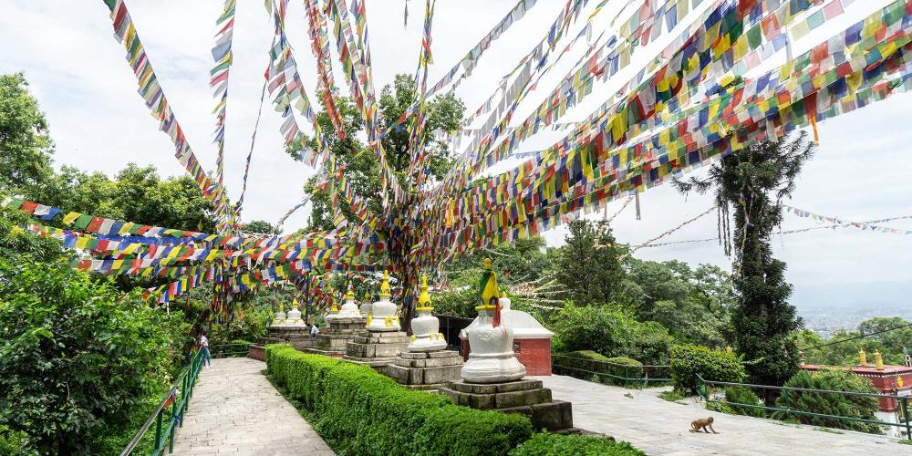 The complex at Swayambhunath stretches out across the hill to more shrines, a monastery, and rest areas. – © Michael Turtle