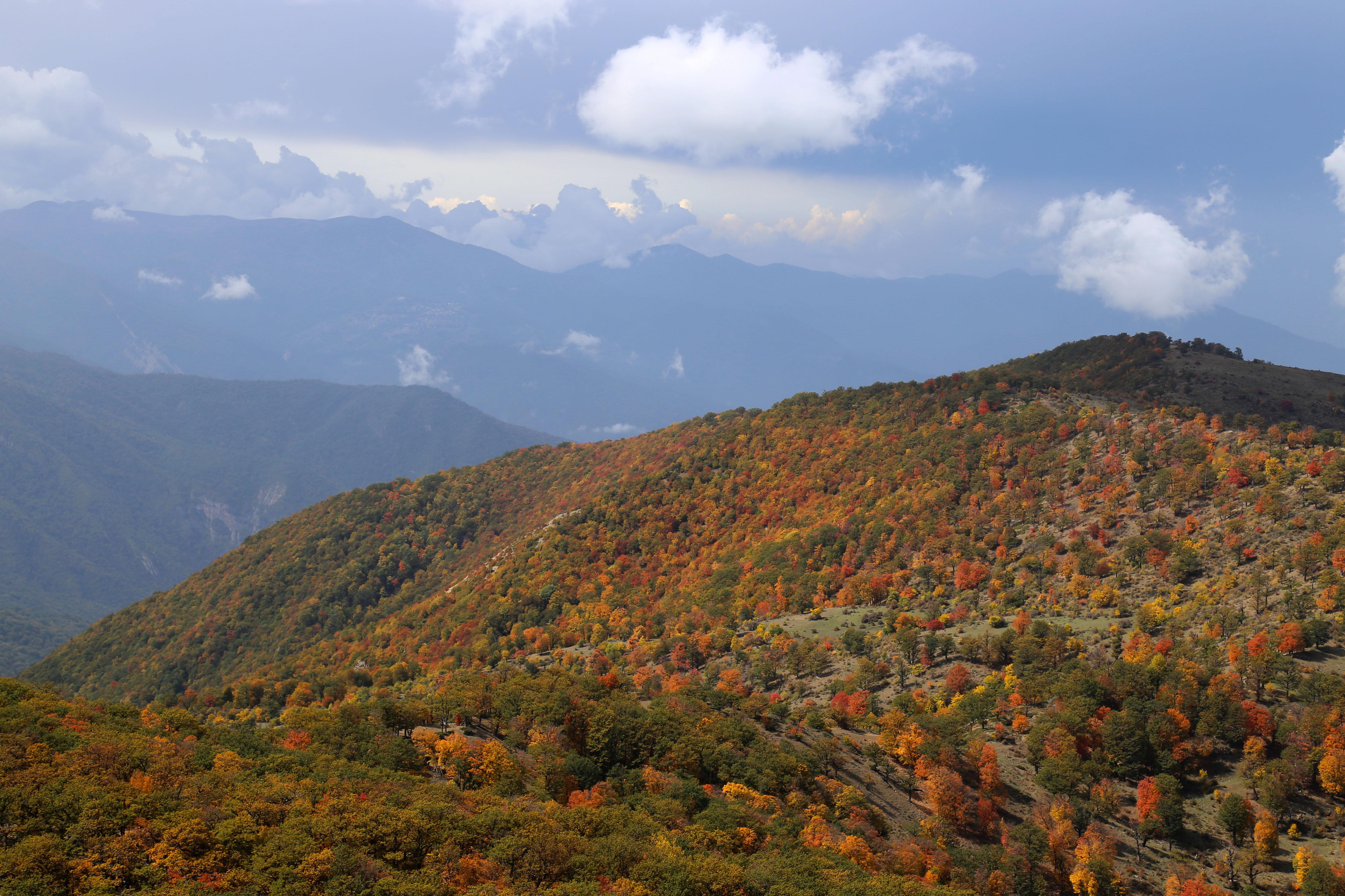 Fall is a stunning time to visit the area to see the folliage change colors © Ata Farzam / Shutterstock
