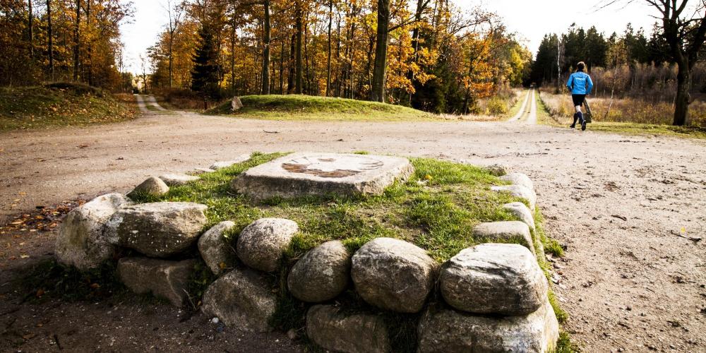 King Christian V placed these stone monuments to clearly define the hunting landscape of the Great Deer Park. – © Sune Magyar / Parforcejagtlandskabet i Nordsjælland