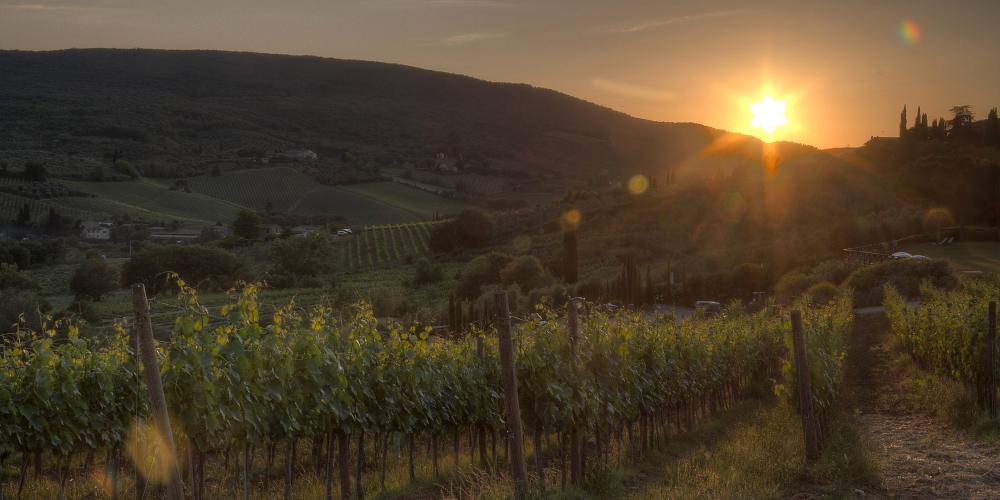 An experience for two surrounded by the Vernaccia vineyards of San Gimginano, the promise of fabulous sunsets, endless vistas on the unique skyline, local organic Vernaccia and exquisite hospitality. – © Andrea Caporaletti / Be Tuscan for a day
