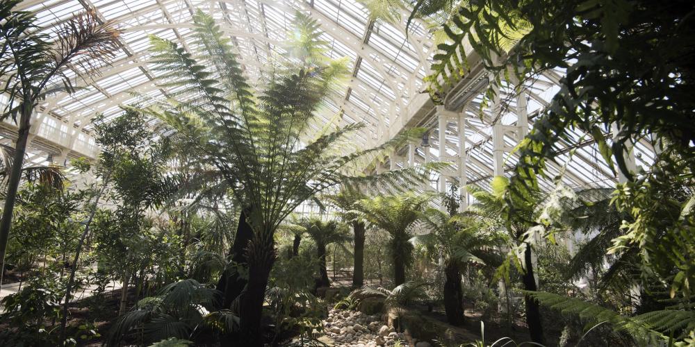 During its restoration from 2013 to 2018, 69,000 items were removed and cleaned, repaired or replaced. – © RBG Kew