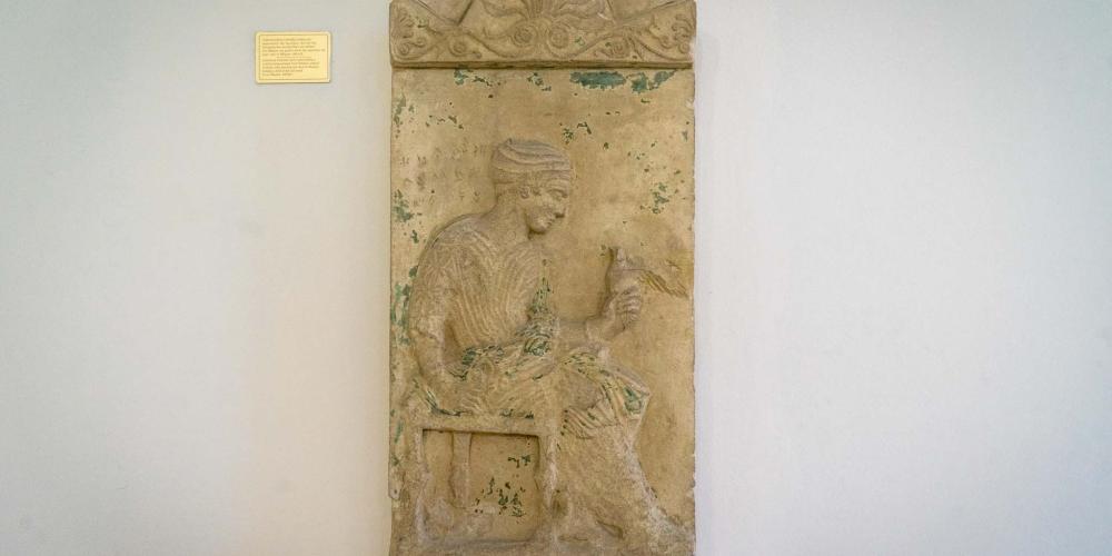 © Michael Turtle © Michael Turtle