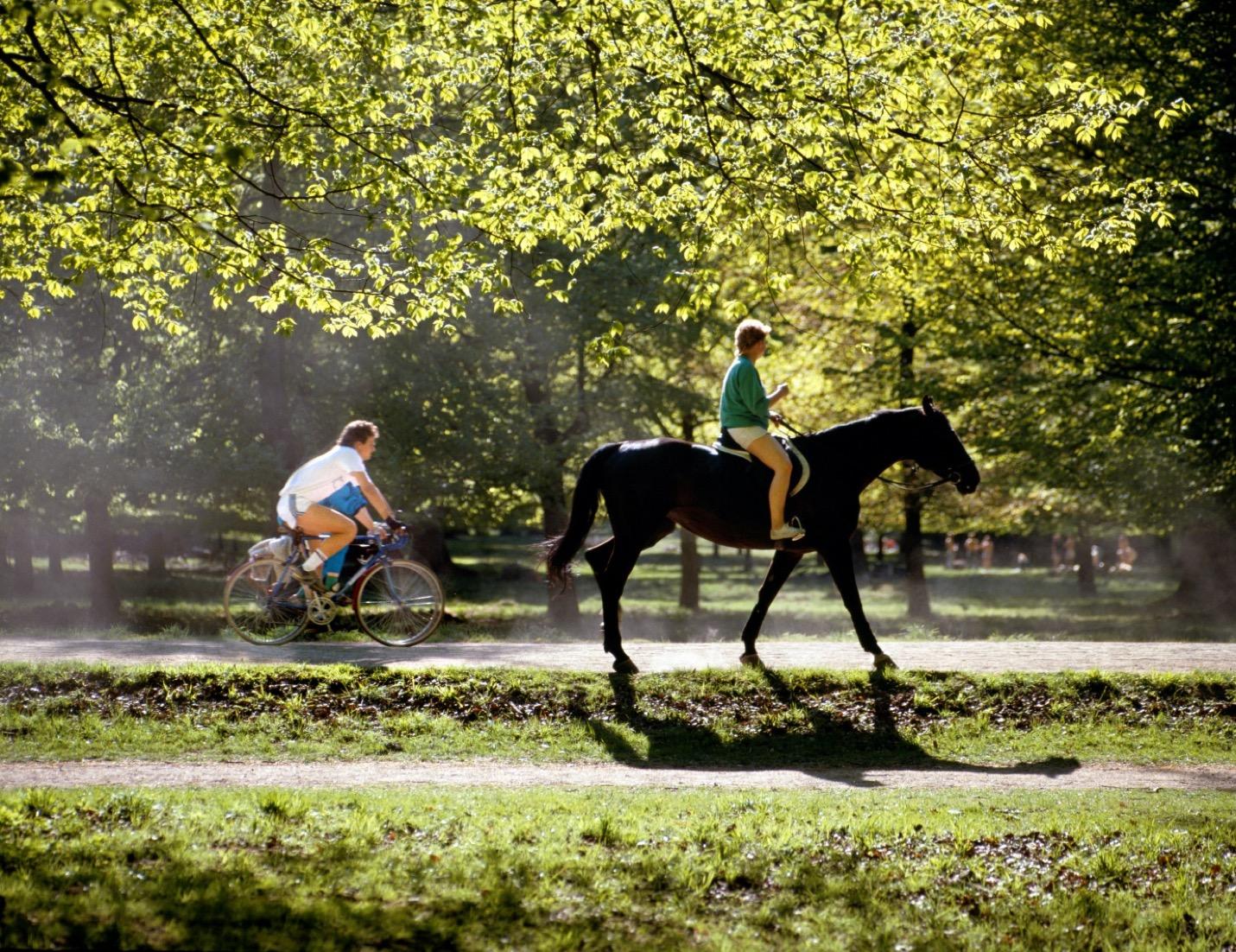 Horseback riding and bicycling – © Jorgen Schytte