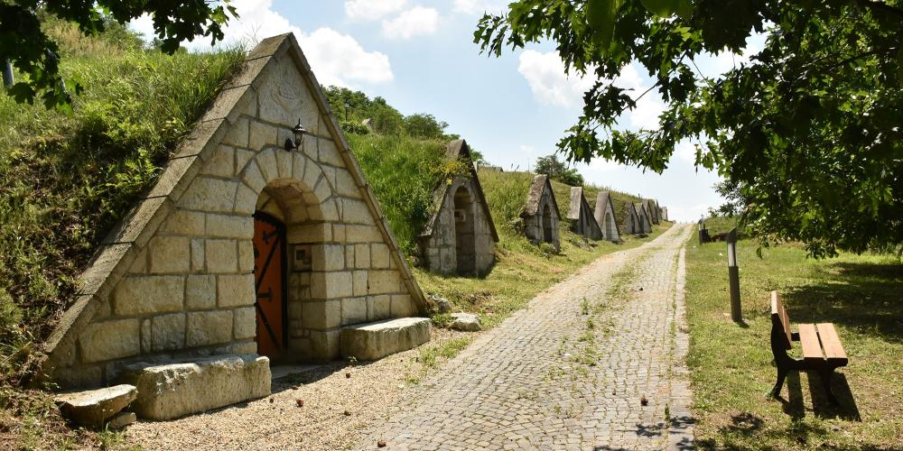 It is worth to visit the Kőporos cellars on the other side of the Hercegkút village, where irregular cellars give a unique atmosphere. Exploring the bushy streets increase the desire to discover the treasure of wine cellars wine. – © Viktor Kiss It is worth to visit the Kőporos cellars on the other side of the Hercegkút village, where irregular cellars give a unique atmosphere. Exploring the bushy streets increase the desire to discover the treasure of wine cellars wine. – © Viktor Kiss
