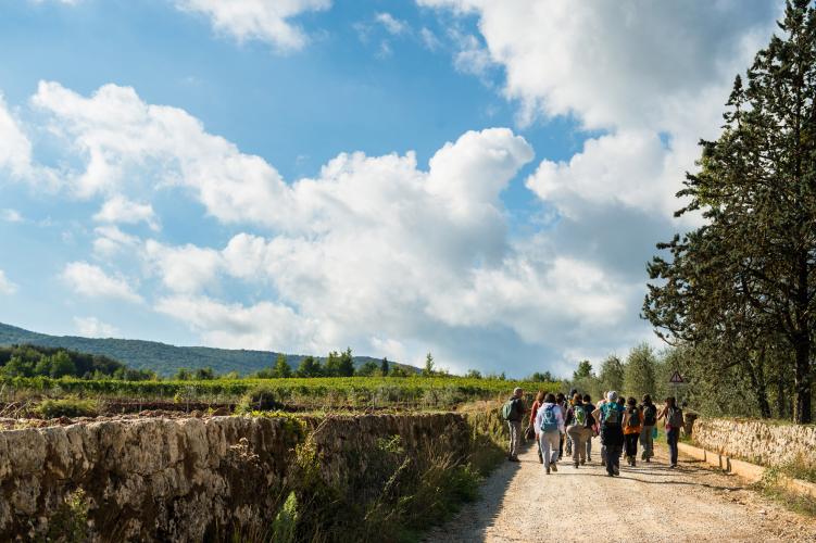 Walking part of the route of the Via Francigena from San Gimignano to Monteriggioni. – © Yari Ghidone / Slow travel Fest