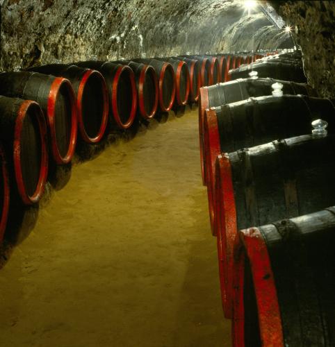 典型的地窖隧道中的老酒桶，图为托卡伊拉科奇地窖。生产者必须使用橡木桶陈化贵腐酒，最著名的是是Gönci和Szerednyei酒桶。 – © István Meszaros