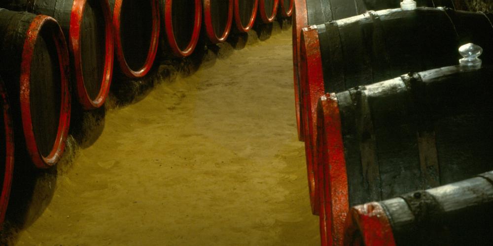 Old barrels in a typical cellar tunnel in Tokaji Rákóczi Cellar. Producers
are obliged to use oak barrels for Aszú wine aging, the most well-know ones
are called; Gönci and Szerednyei barrels. – © István Meszaros Old barrels in a typical cellar tunnel in Tokaji Rákóczi Cellar. Producers
are obliged to use oak barrels for Aszú wine aging, the most well-know ones
are called; Gönci and Szerednyei barrels. – © István Meszaros
