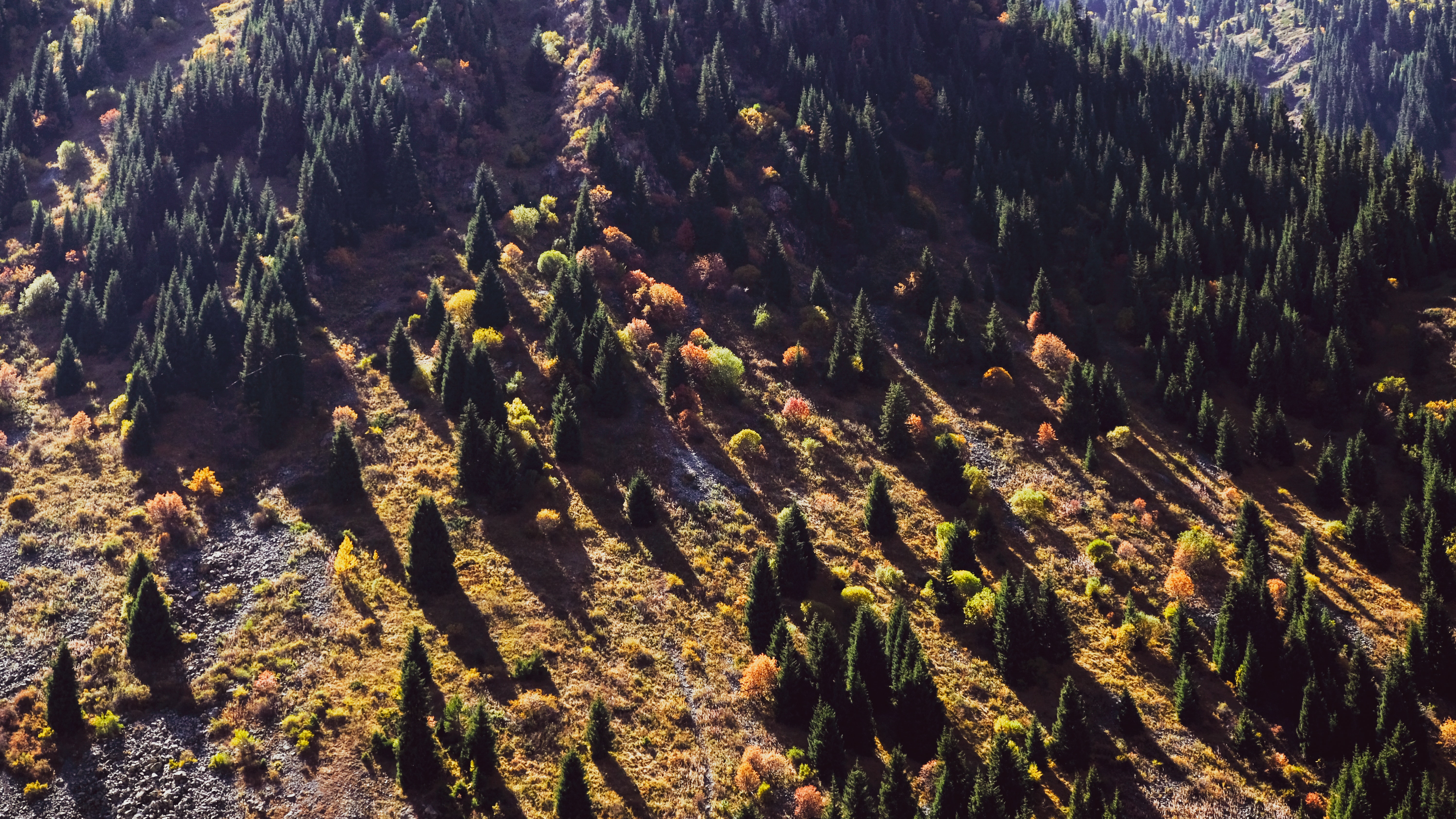 Foothill of UNESCO designated Western Tien-Shan mountains © Dmitry Sumskoy / Unsplash