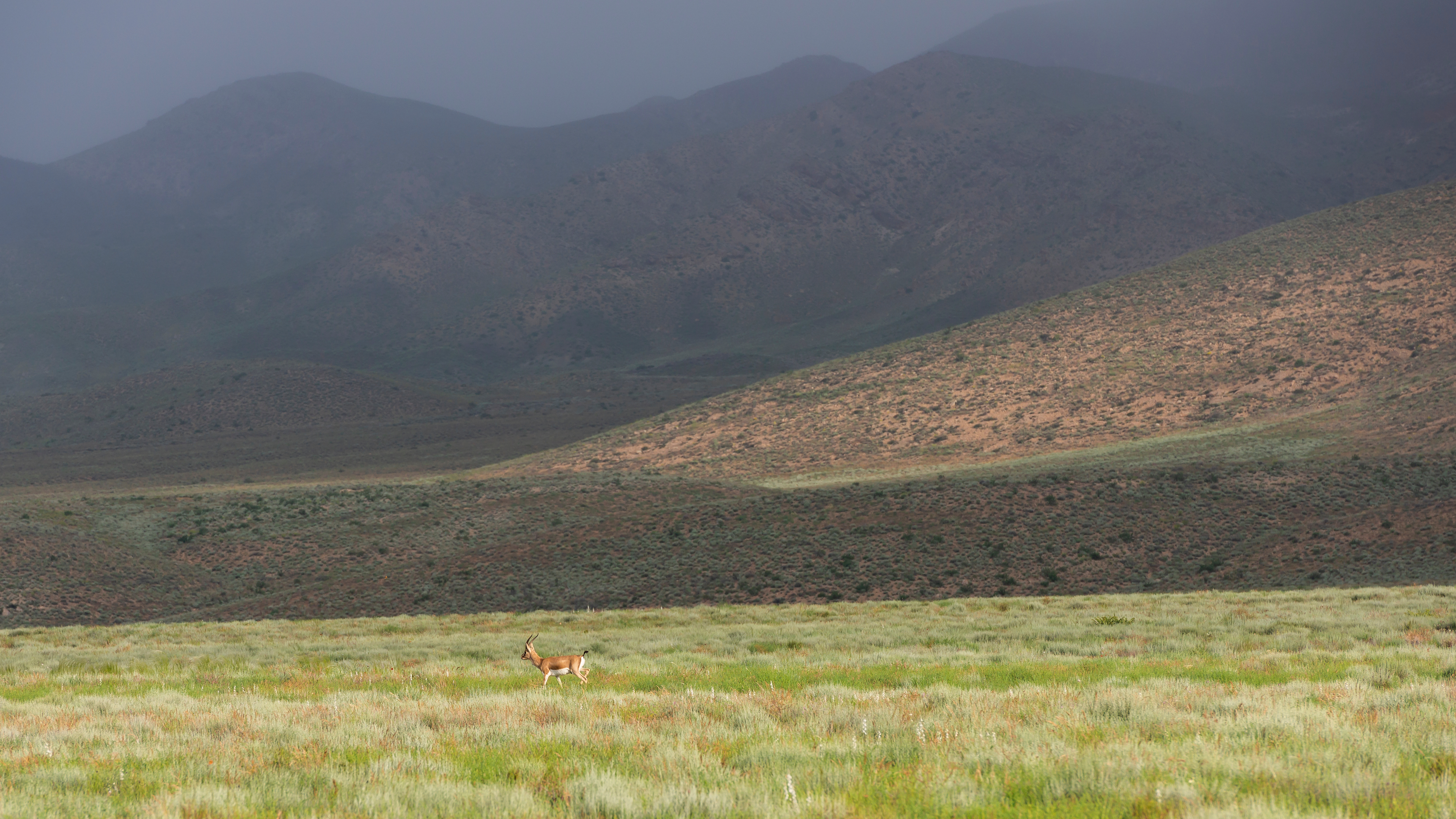 A scenic afternoon in Golestan National Park © Daan Kloeg / Shutterstock