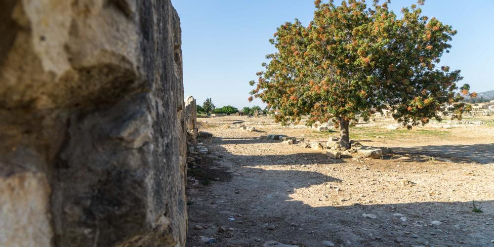 The stone wall is all that remains of the original megalithic temple built long before the idea of Aphrodite existed. – © Michael Turtle The stone wall is all that remains of the original megalithic temple built long before the idea of Aphrodite existed. – © Michael Turtle