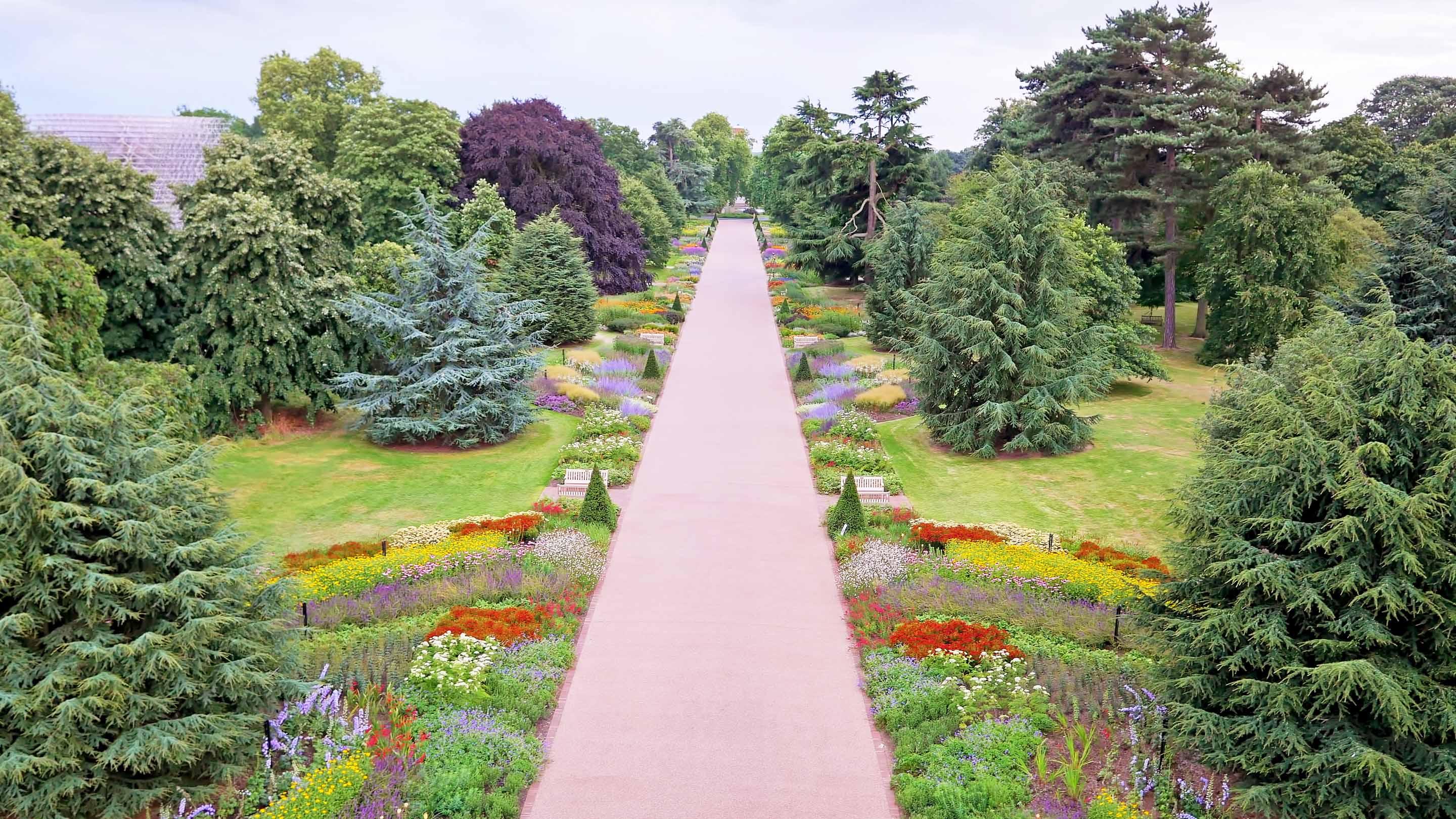 Les Jardins Botaniques Royaux de Kew comptent plus de 33 000 espèces de plantes, d'arbres et de fleurs indigènes et exotiques. - © RGB Kew