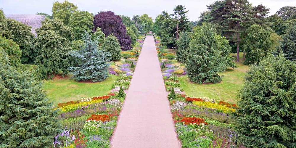 The Royal Botanic Gardens at Kew has more than 33,000 species of native and exotic plants, trees, and flowers on site. – © RBG Kew