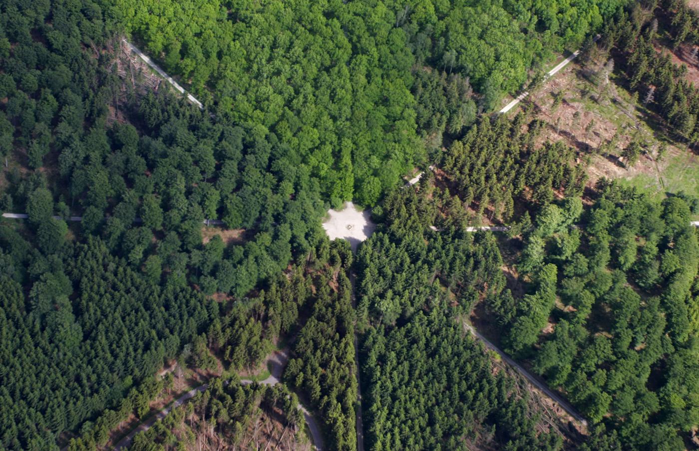 L'étoile du roi dans le Grand parc à cerfs. - © Les paysages de chasse à courre en Zélande du Nord.