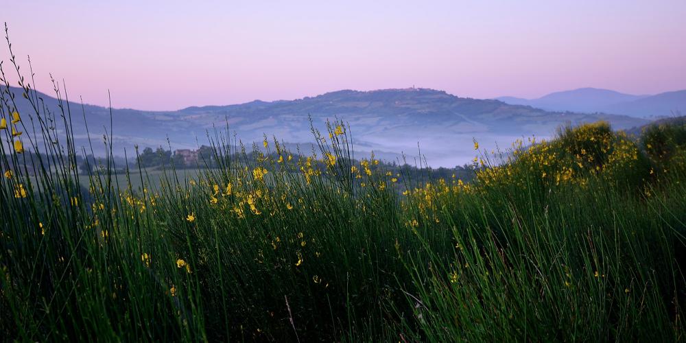 Radicondoli is the perfect place to enjoy gently rolling hills, woodlands and the unspoiled simplicity of the Tuscan countryside. – © Tiziano Pieroni / Be Tuscan for a day