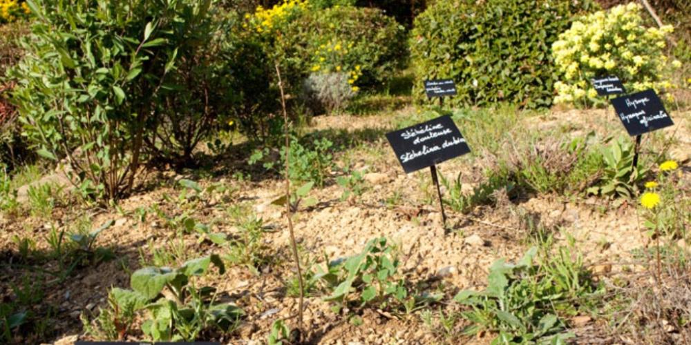 Un jardin de plantes utiles dans l'exposition en plein-air " Mémoires de Garrigue ", conçue par Véronique Mure. – © Y. de Fareins Un jardin de plantes utiles dans l'exposition en plein-air " Mémoires de Garrigue ", conçue par Véronique Mure. – © Y. de Fareins