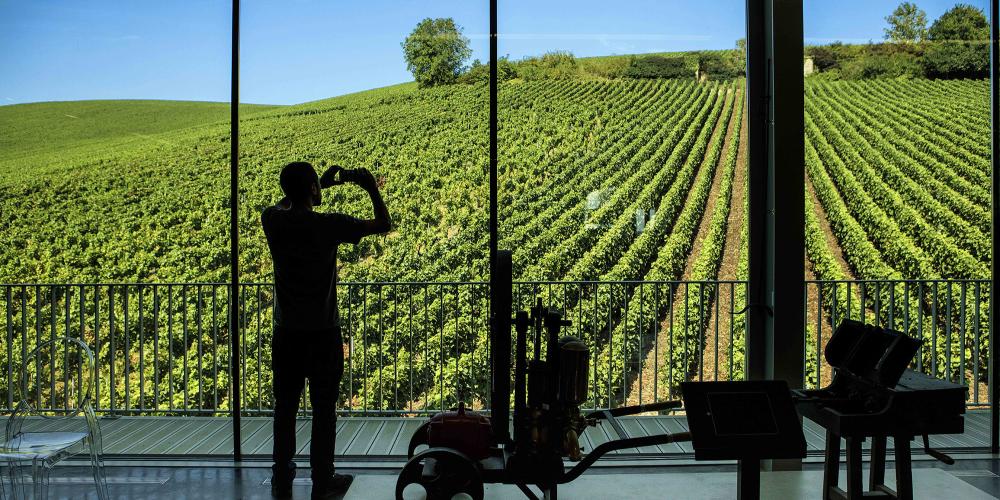 Vue magnifique du vignoble à partir du musée des métiers de Champagne de la Cité du Champagne Collet Cogevi, Aÿ. – © PE Rastoin collection / Collet Cogevi Vue magnifique du vignoble à partir du musée des métiers de Champagne de la Cité du Champagne Collet Cogevi, Aÿ. – © PE Rastoin collection / Collet Cogevi