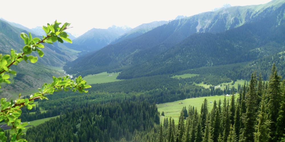 Beautiful nature and lush greenery in Kyrgyzstan – Photo by Helen Turner Beautiful nature and lush greenery in Kyrgyzstan – Photo by Helen Turner