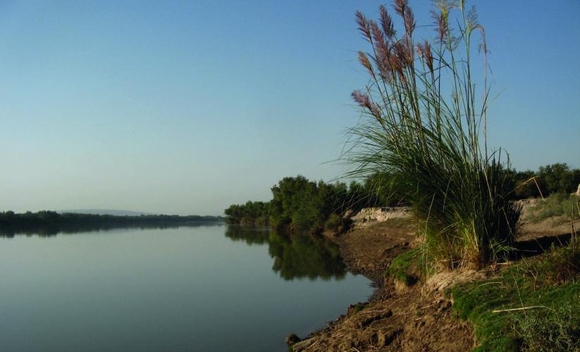 The Vakhsh River in the central part of the Tigrovaya Balka Nature Reserve – © A. Butorin