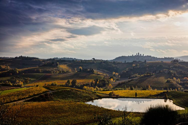 Vernaccia di San Gimignano wine has been grown in this region since the Middle Ages. – © Consorzio della Denominazione San Gimignano