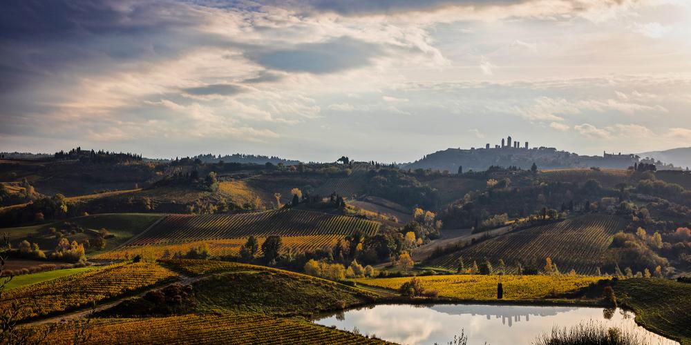 Vernaccia di San Gimignano wine has been grown in this region since the Middle Ages. – © Consorzio della Denominazione San Gimignano Vernaccia di San Gimignano wine has been grown in this region since the Middle Ages. – © Consorzio della Denominazione San Gimignano