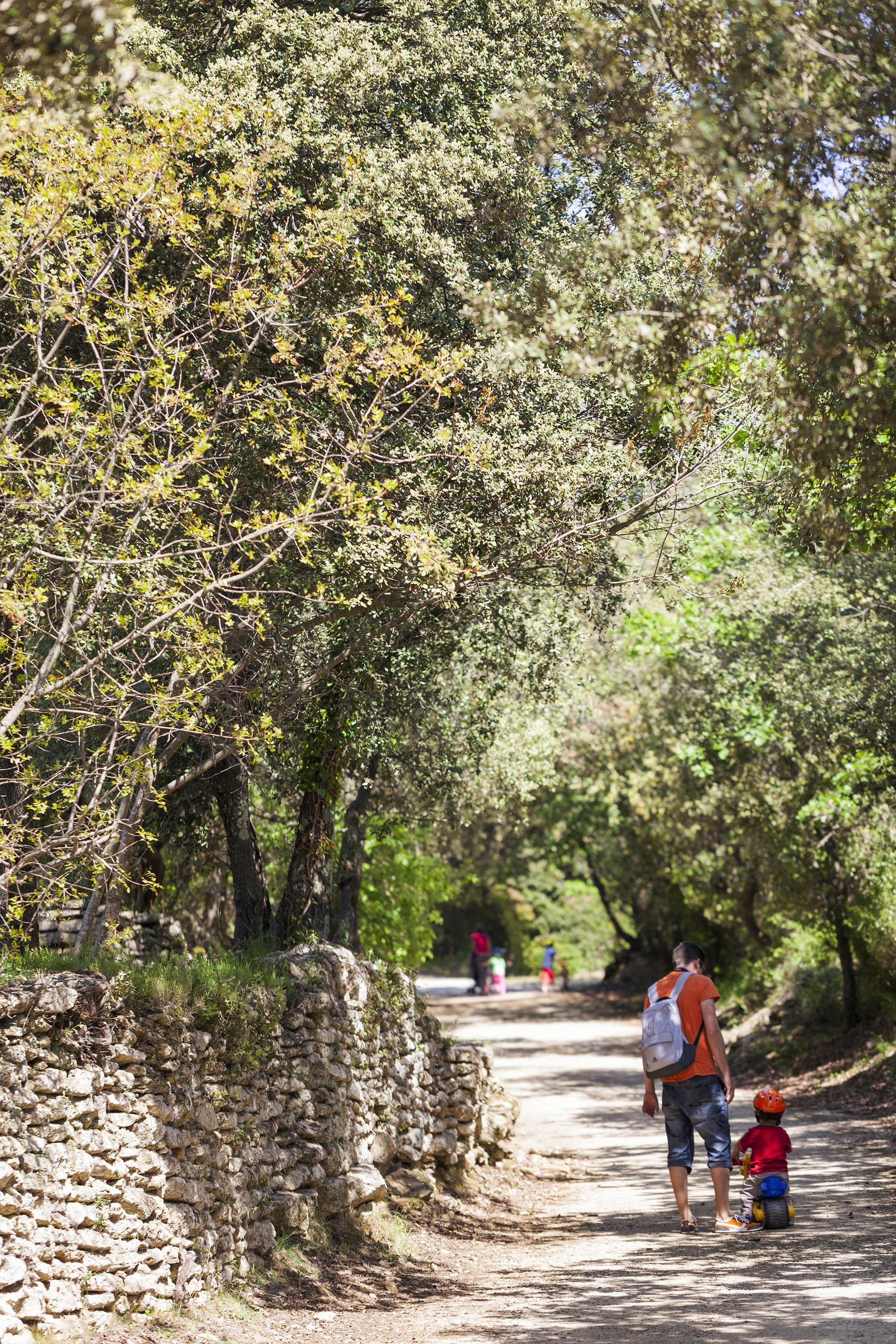 Through the 15 acres of restored agricultural parcels,  "Mémoires de garrigue" is a loop of 1,4km to the discovery of the Mediterranean landscape. – © Aurelio Rodriguez