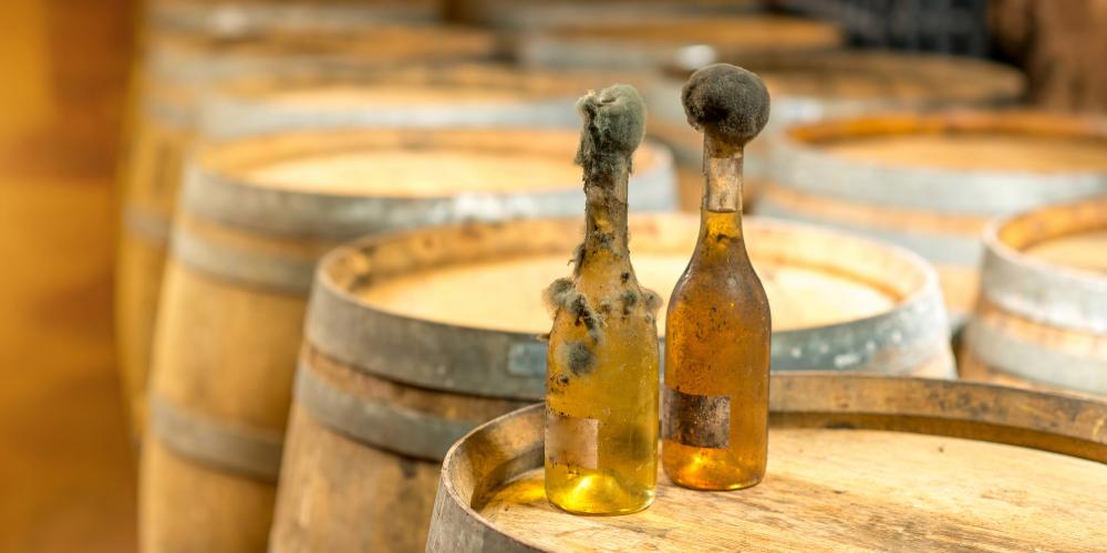 Over the centuries, different ethnic groups settled in the area—drawn partly by the unique environment that lent itself to wine production. Pictured here: old bottles of white wine with famous black mold. – © RossHelen / Shutterstock