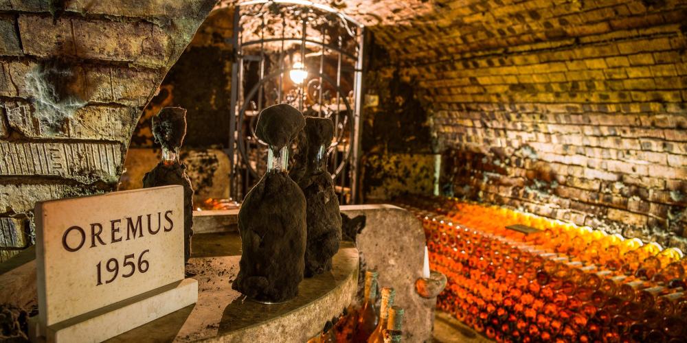 Tokaji wines have always been renowned for their aging potential so Oremus has a special treasury in the cellar to store older vintages, the so-called library wines. – © Márton Csíkszentmihályi