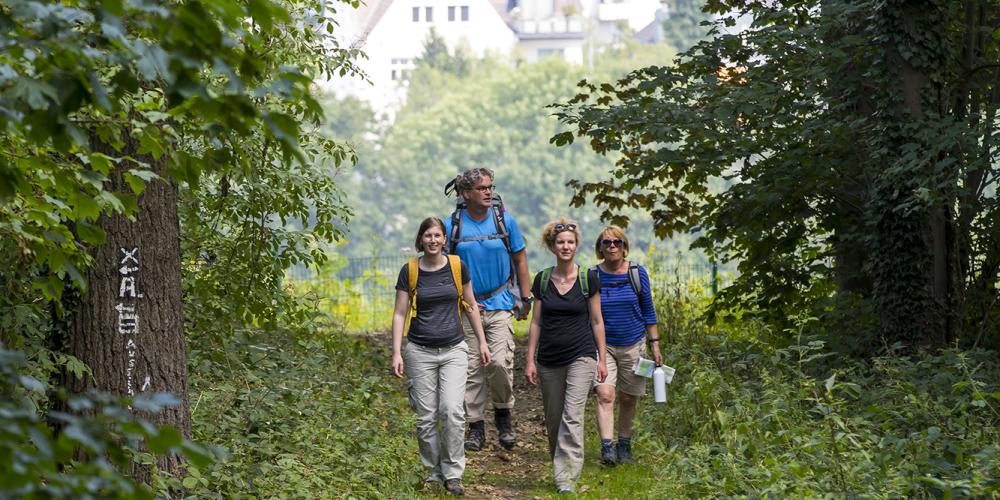 Promenez-vous le long du sentier de randonnée balisé de Baldeney pour renouer avec la nature. – © Jochen Tack / City of Essen