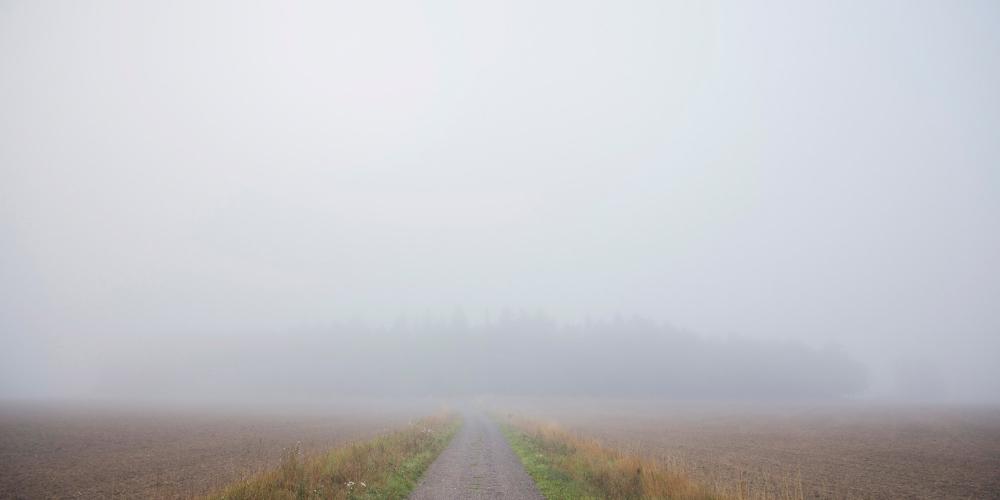 A road somewhere in the nature reserve of Lovö on a foggy day. – © Melker Dahlstrand