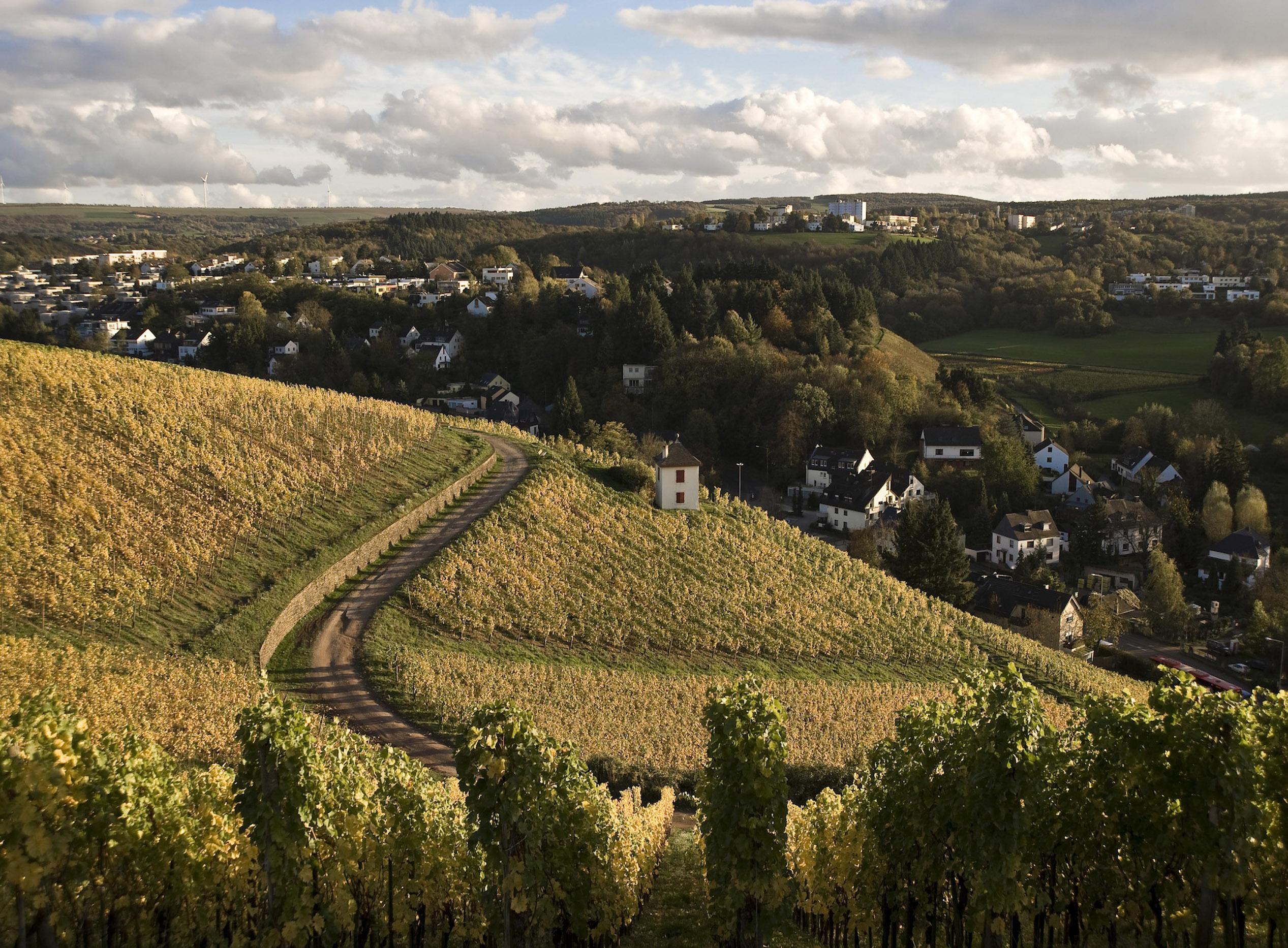 Trèves est chargée d'histoire, mais le vin des vignobles de la vallée de la Moselle transcende chaque époque. © Trier Tourismus und Marketing GmbH