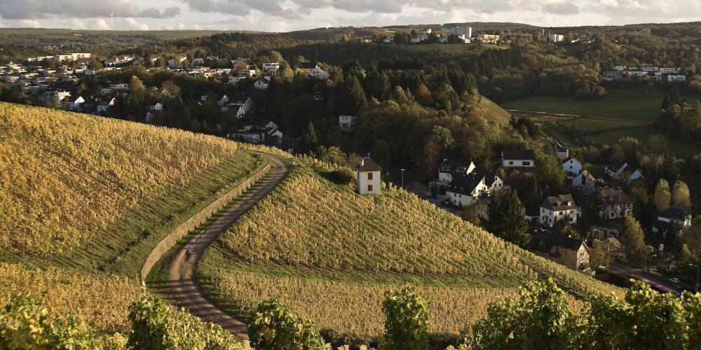 You can visit many of the numerous wineries along the Mosel or in the Trier suburb Olewig. – © Trier Tourismus und Marketing GmbH You can visit many of the numerous wineries along the Mosel or in the Trier suburb Olewig. – © Trier Tourismus und Marketing GmbH