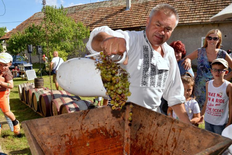 Les visiteurs peuvent déguster une variété de vins et d'autres produits à base de raisins. – © Lubo Lužina