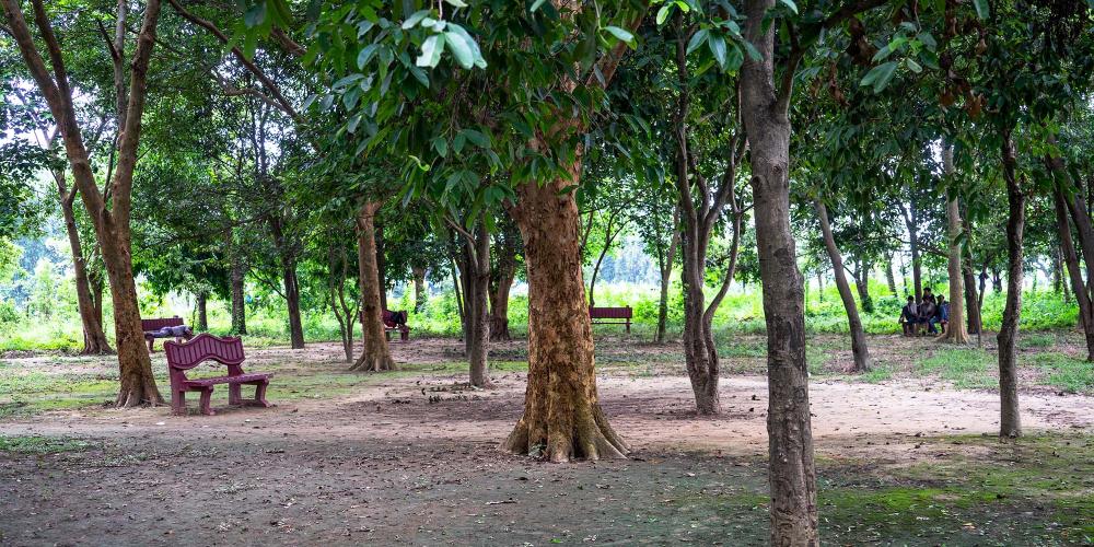 There is a quiet park area with benches under the cool shade of trees for people to rest and reflect. – © Michael Turtle There is a quiet park area with benches under the cool shade of trees for people to rest and reflect. – © Michael Turtle