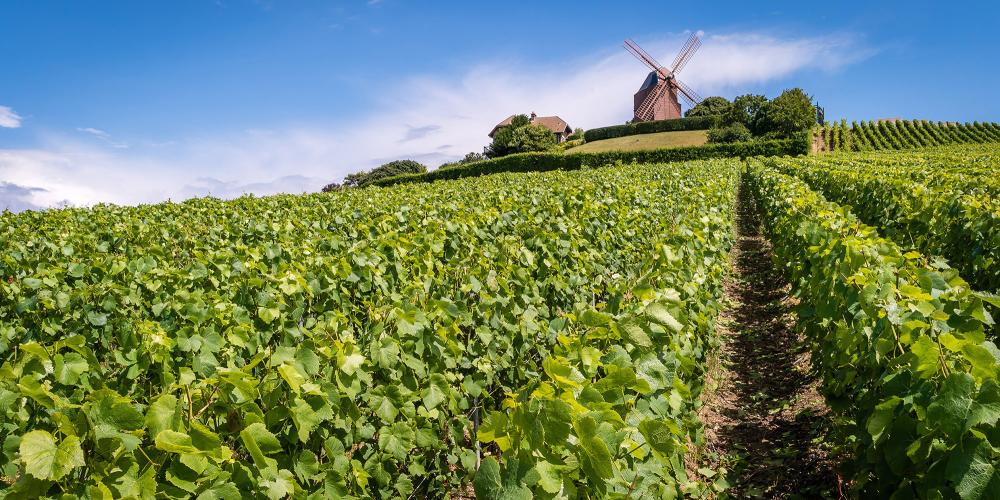 A windmill on a hill in the Champagne Region provides one of the many photo ops during a visit here. – © Stephane Debove / Shutterstock