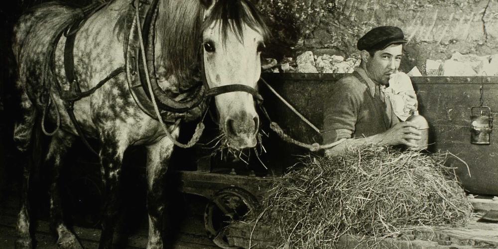 A joint meal with Kuba, a horse working in the Bochnia Salt Mine, in the 1950s. – © Władysław Gargul A joint meal with Kuba, a horse working in the Bochnia Salt Mine, in the 1950s. – © Władysław Gargul