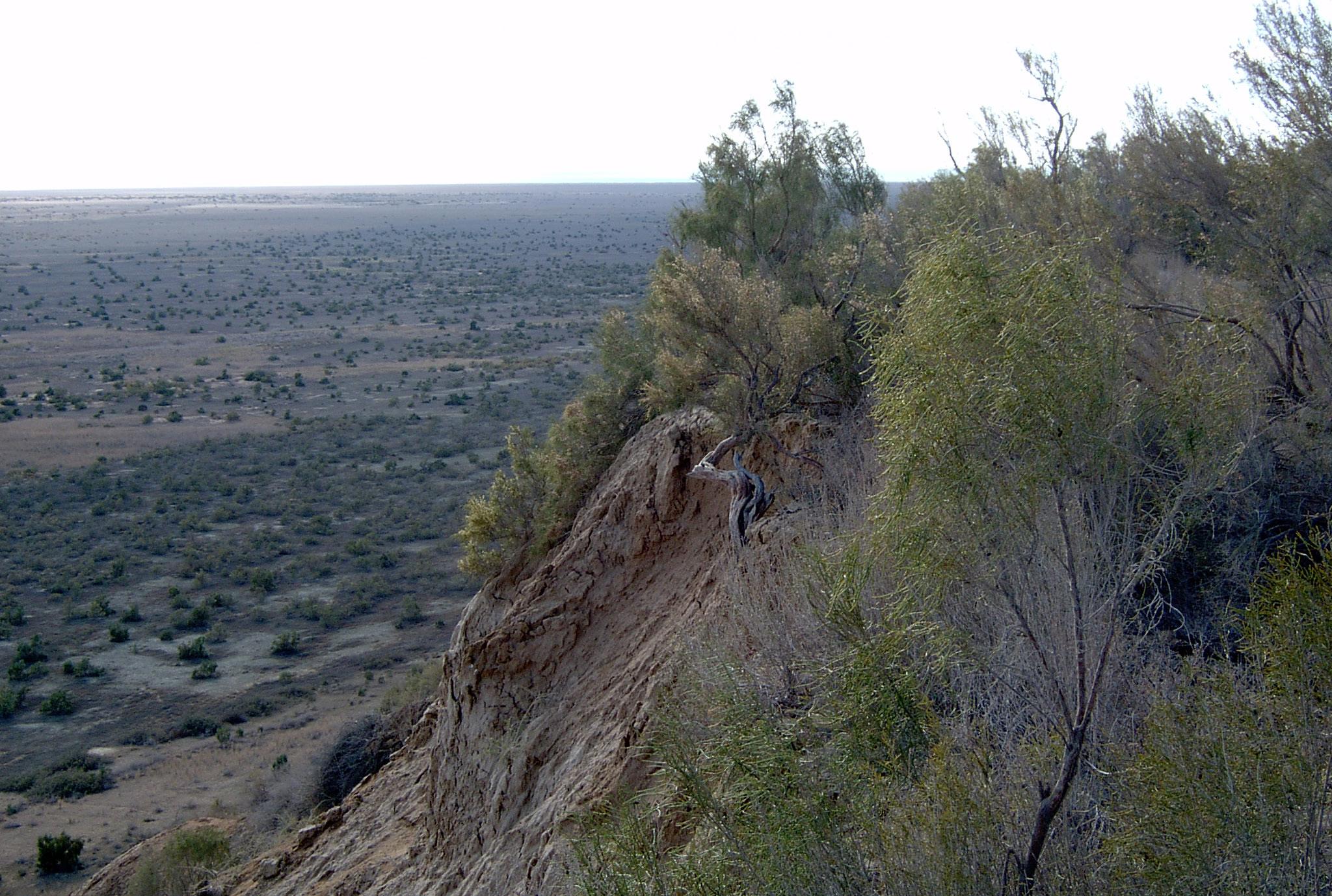 Cliffs on the edge of Barsakelmes island – © L. Dimeyeva