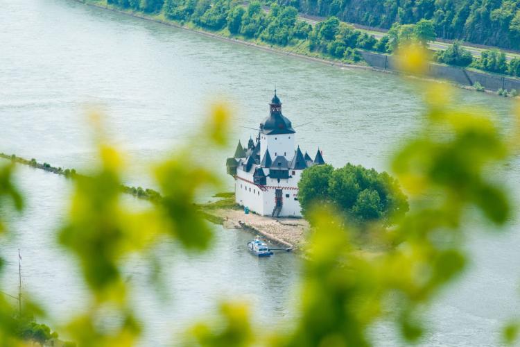 The Riesling grape is the undisputed star amongst the Middle Rhine varieties.