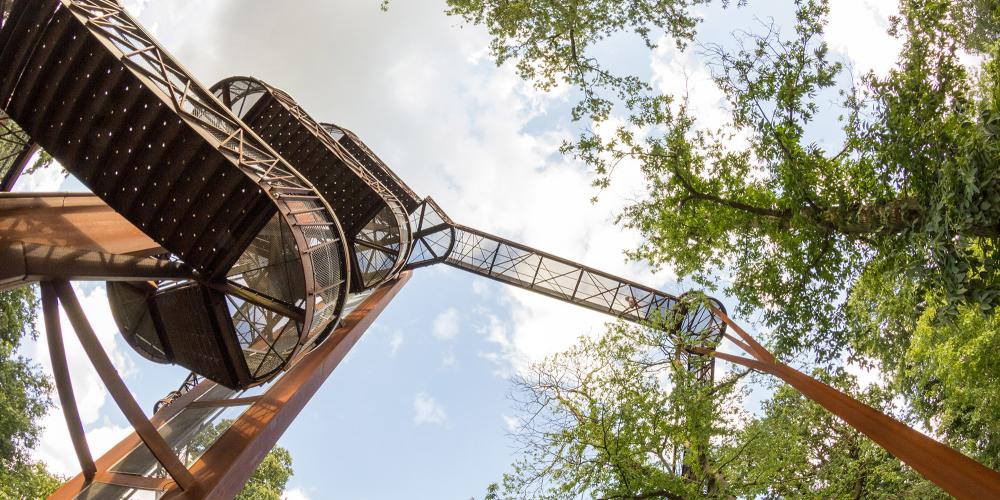 Climb to this one-of-a-kind Treetop Walkway, 18m high and 200m long—for a bird's eye view of Kew. – © ileana_bt / Shutterstock