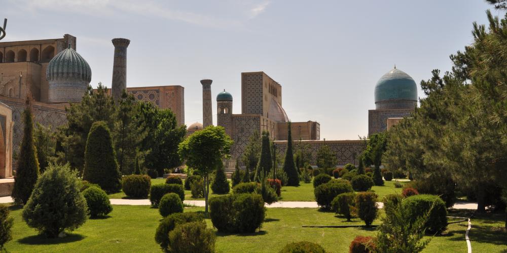 Greenery with a backdrop of Gur Emir mausoleum – Photo by Idun Uhl Kotsani