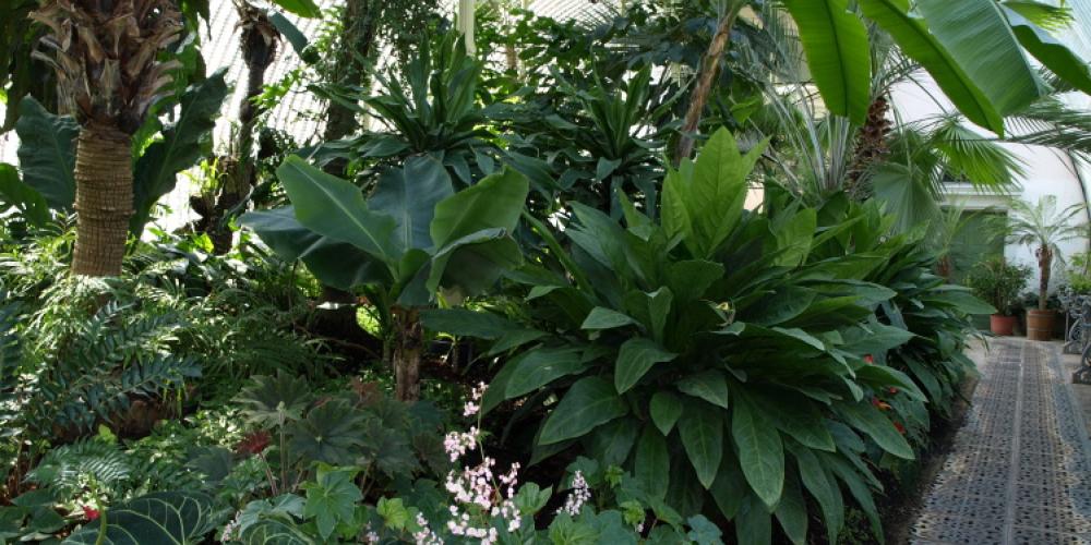 棕榈屋 欧洲的世界遗产之旅 棕榈屋 欧洲的世界遗产之旅