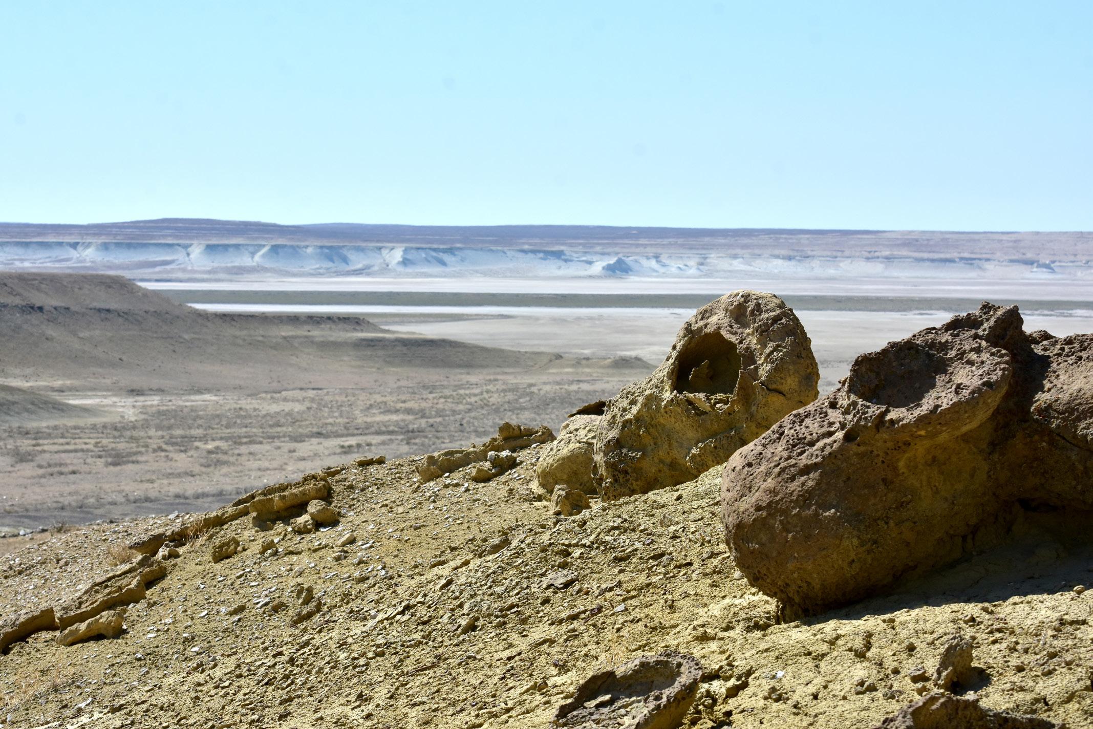 Solonchaks and cliff habitats – © M. Gritsina