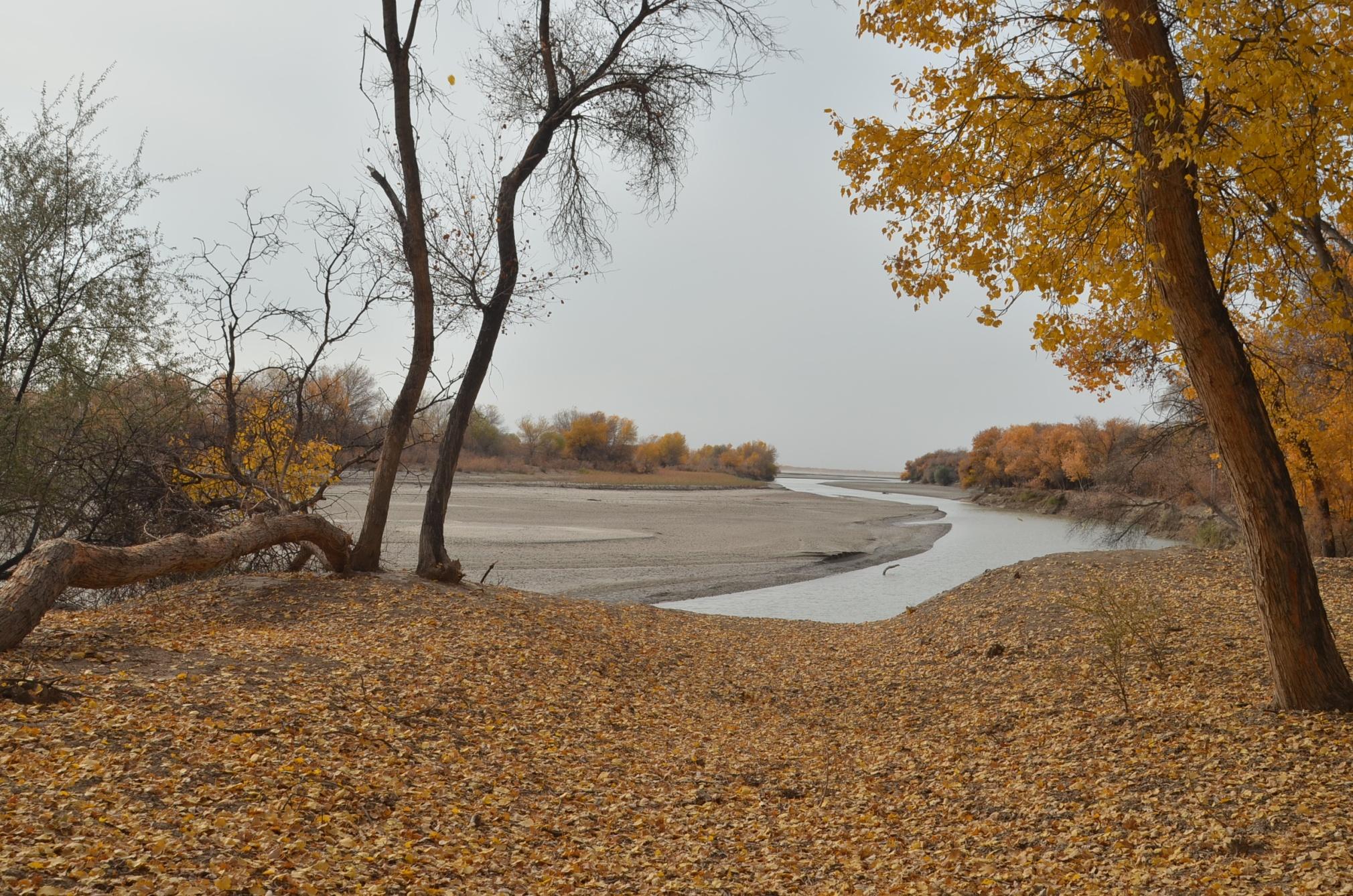 Fall is a beautiful time to visit the reserve/ © Makset Khabibullaev