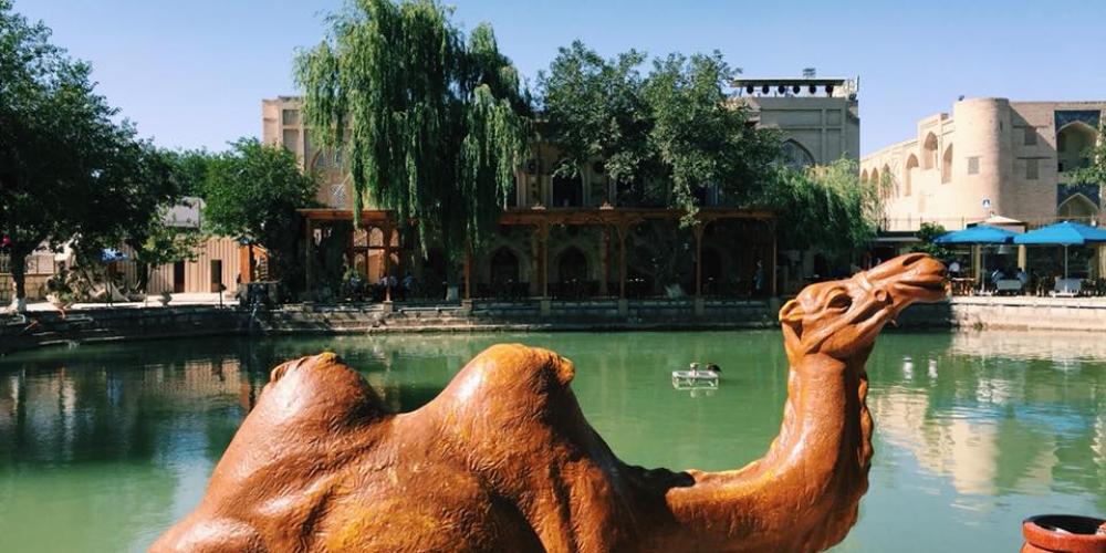 © Jennifer Lundt © Jennifer Lundt